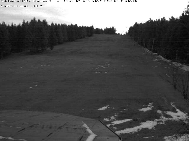 Archived image Webcam Bühlertallift Hundseck View of the Slope