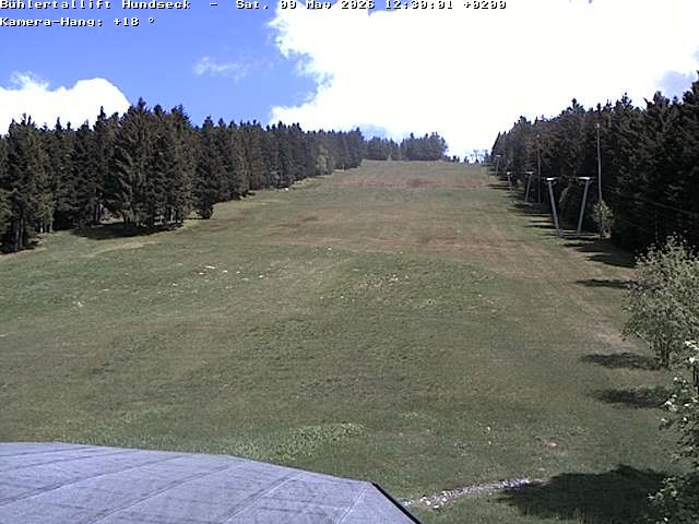 Archiv Foto Webcam Bühlertallift Hundseck Pistenblick