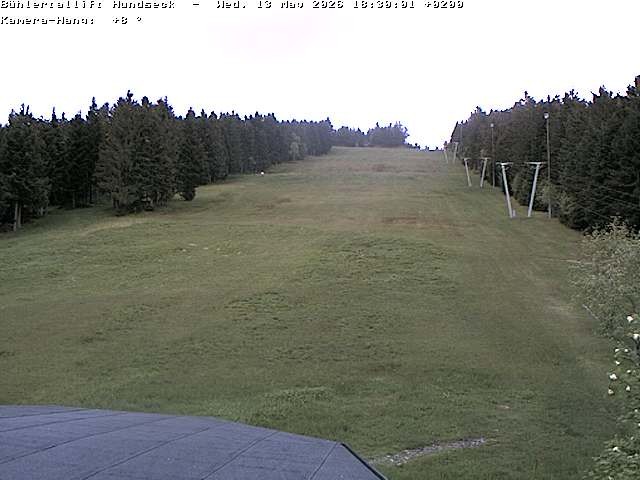 Archiv Foto Webcam Bühlertallift Hundseck Pistenblick