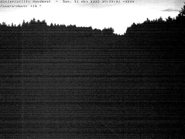 Archived image Webcam Bühlertallift Hundseck View of the Slope