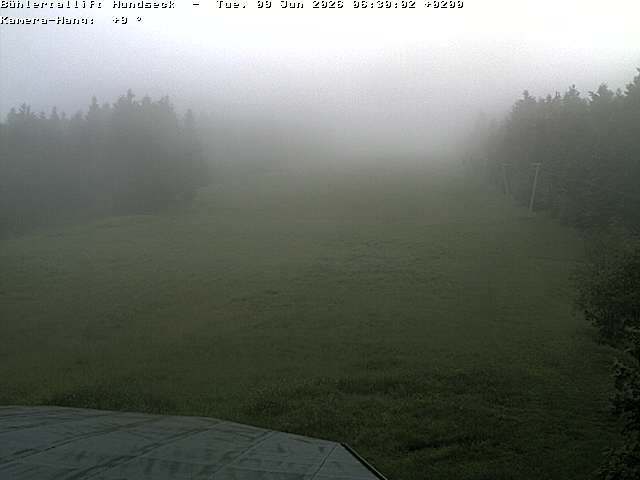 Archiv Foto Webcam Bühlertallift Hundseck Pistenblick
