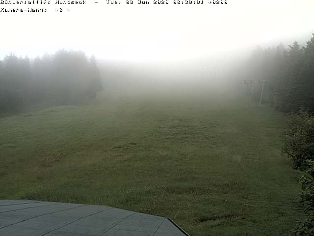Archiv Foto Webcam Bühlertallift Hundseck Pistenblick