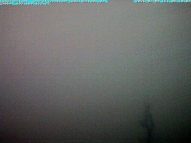 Archiv Foto Webcam Ludwigsstadt nördlich des Rennsteigs