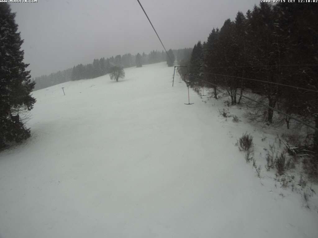 Archiv Foto Webcam Eschenberglifte Niedersfeld Blick auf die Piste