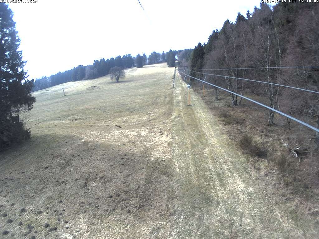 Archiv Foto Webcam Eschenberglifte Niedersfeld Blick auf die Piste