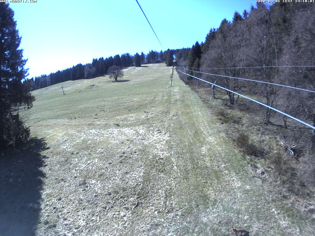 Archiv Foto Webcam Eschenberglifte Niedersfeld Blick auf die Piste