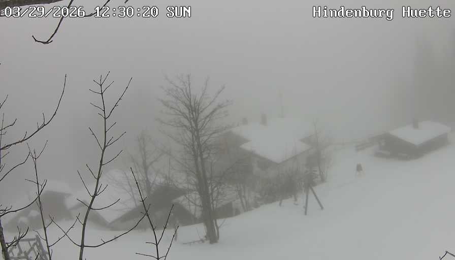 Archiv Foto Webcam Reit im Winkl: Hindenburghütte - Hemmersuppenalm