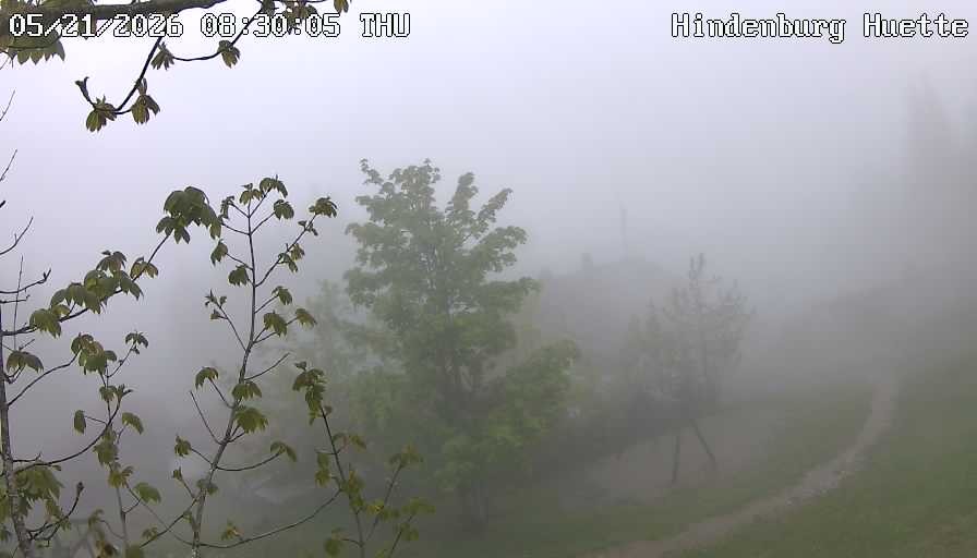 Archiv Foto Webcam Reit im Winkl: Hindenburghütte - Hemmersuppenalm
