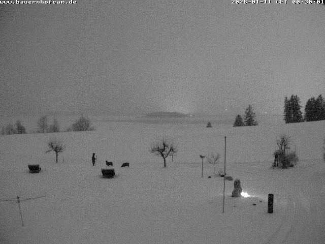 Archiv Foto Webcam Salenberghof, Rosshaupten