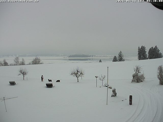 Archiv Foto Webcam Salenberghof, Rosshaupten