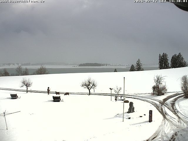 Archiv Foto Webcam Salenberghof, Rosshaupten