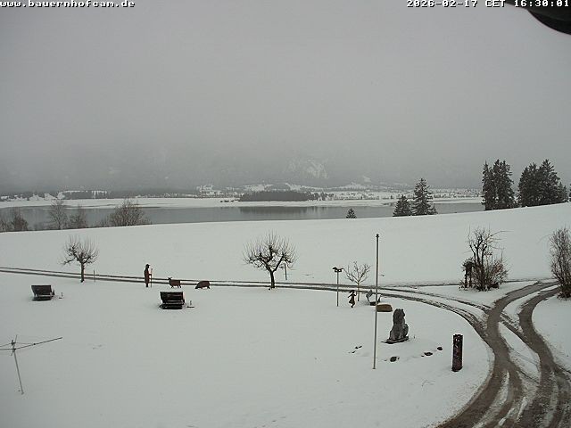 Archiv Foto Webcam Salenberghof, Rosshaupten