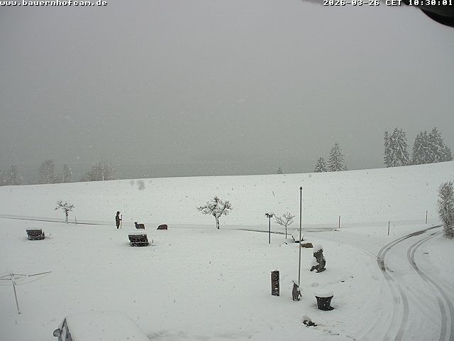 Archiv Foto Webcam Salenberghof, Rosshaupten