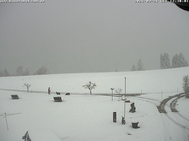 Archiv Foto Webcam Salenberghof, Rosshaupten