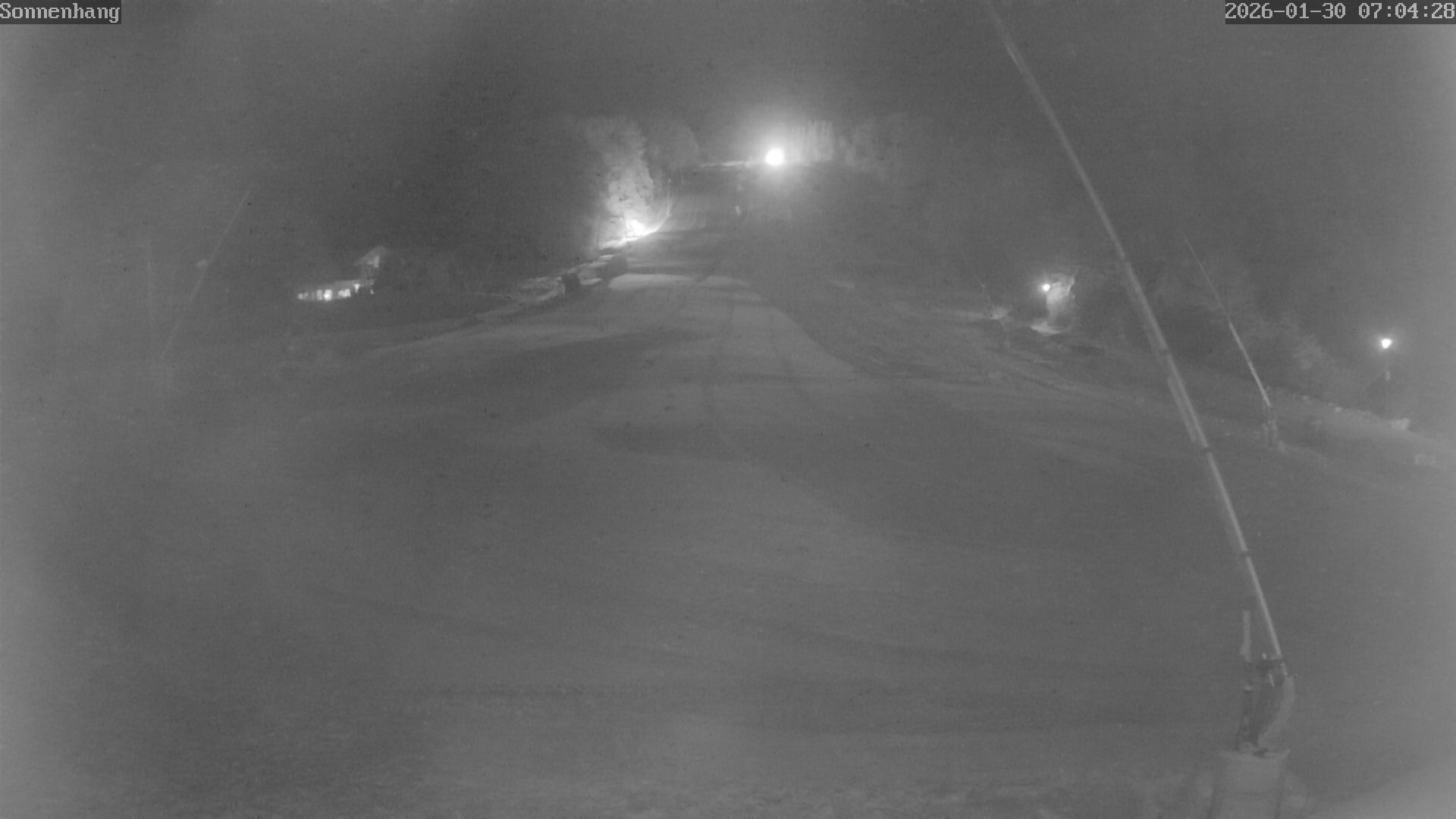 Archiv Foto Webcam Sonnenhang-Willingen