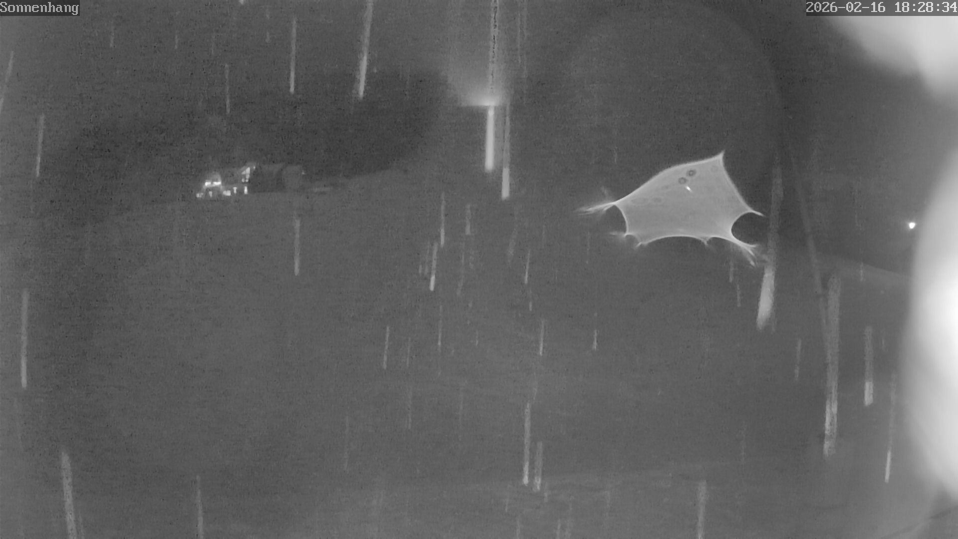 Archiv Foto Webcam Sonnenhang-Willingen