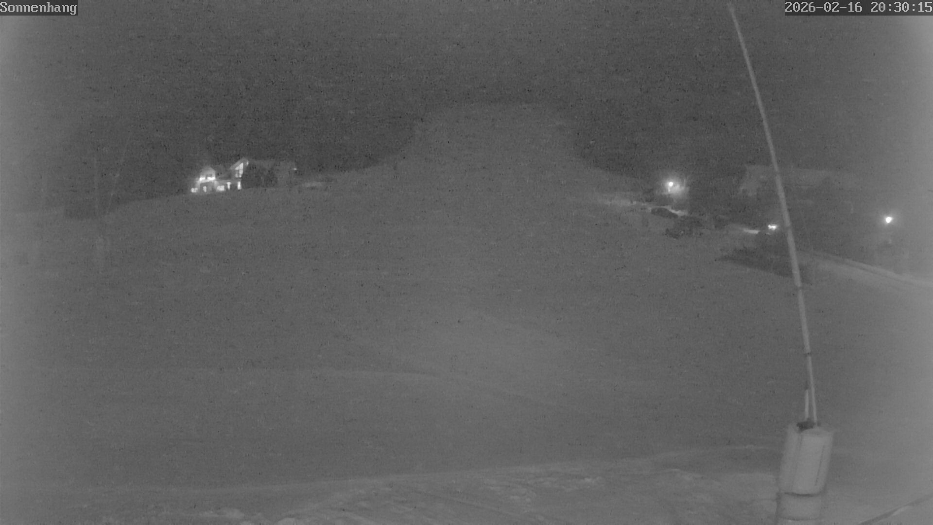 Archiv Foto Webcam Sonnenhang-Willingen