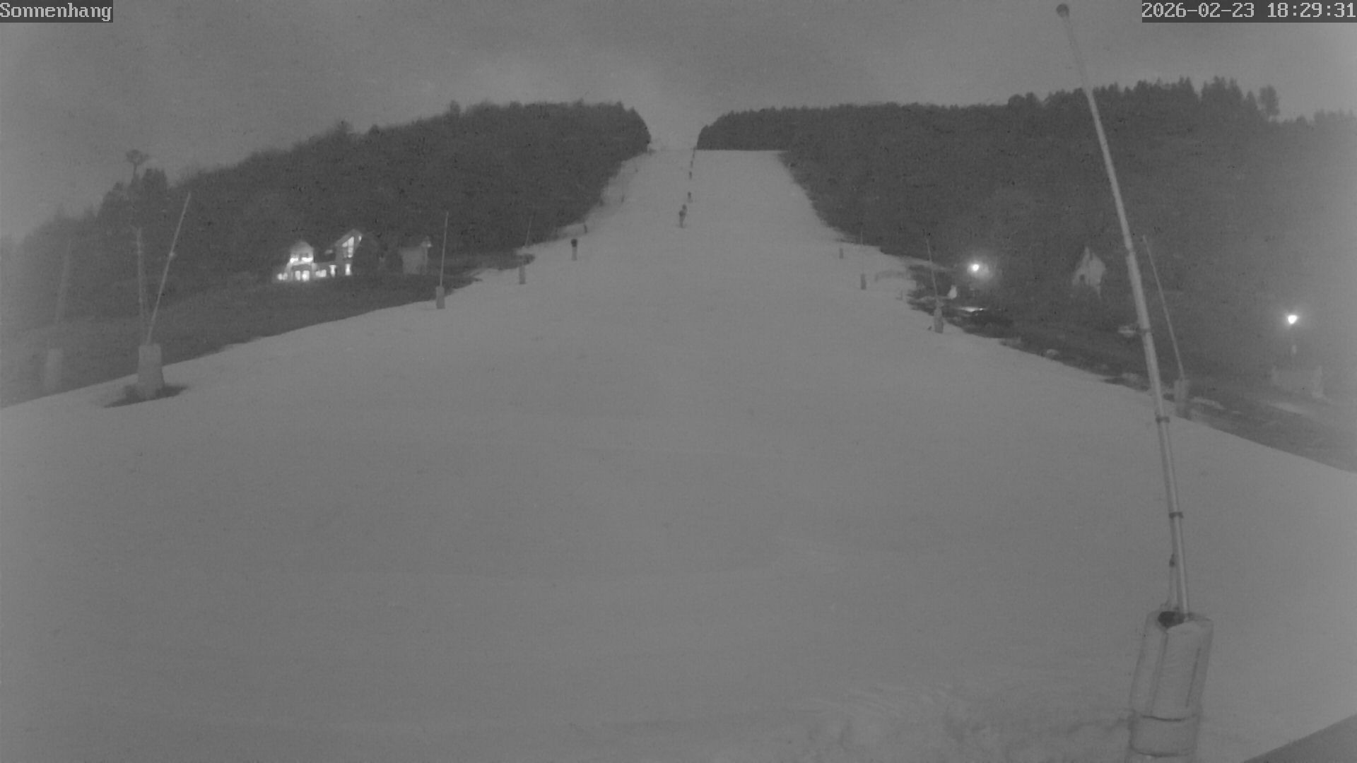 Archiv Foto Webcam Sonnenhang-Willingen