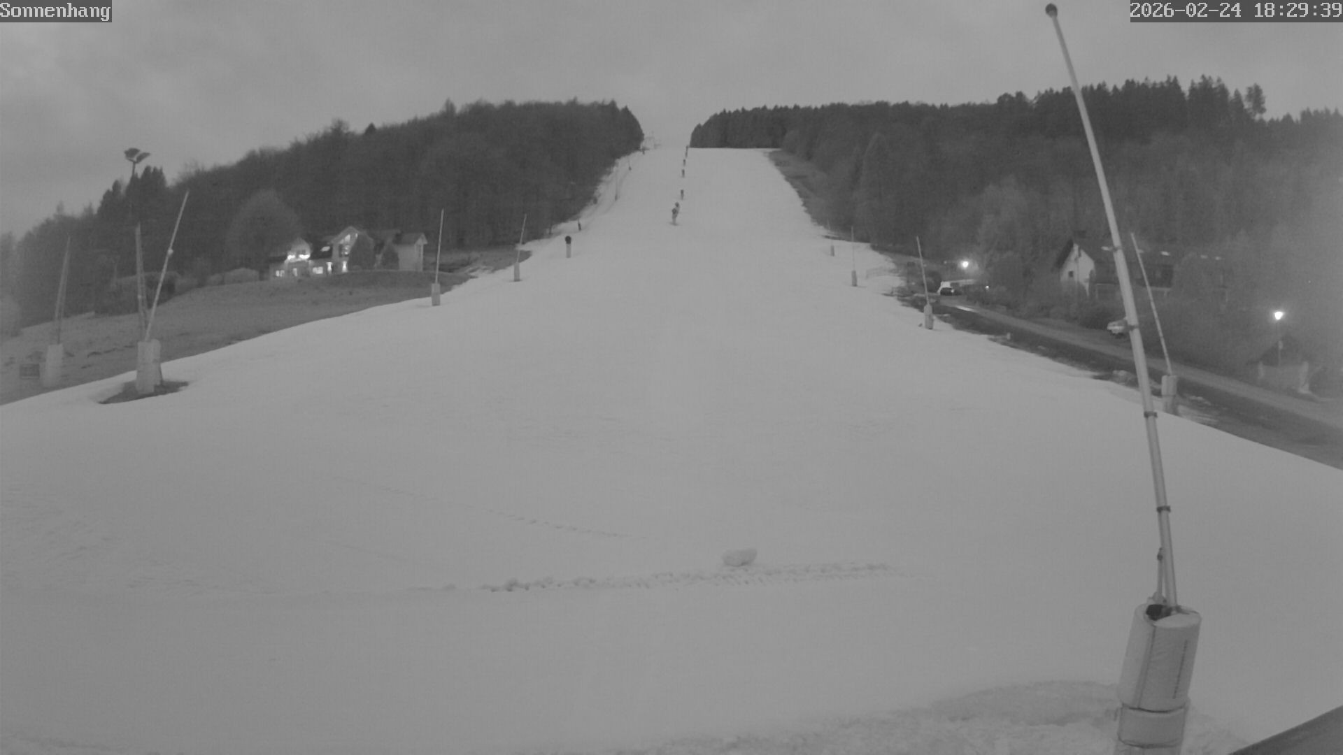 Archiv Foto Webcam Sonnenhang-Willingen