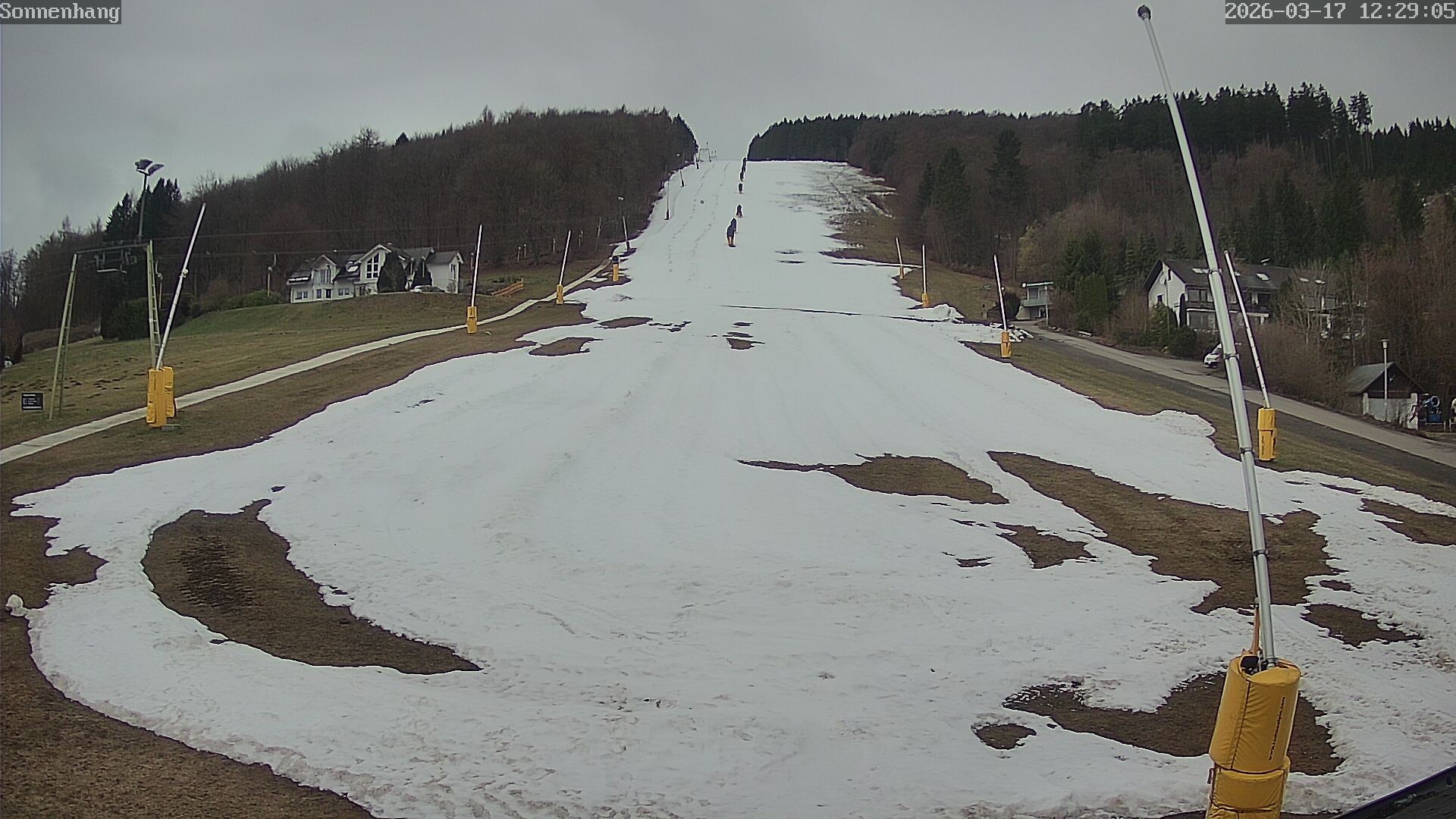 Archiv Foto Webcam Sonnenhang-Willingen