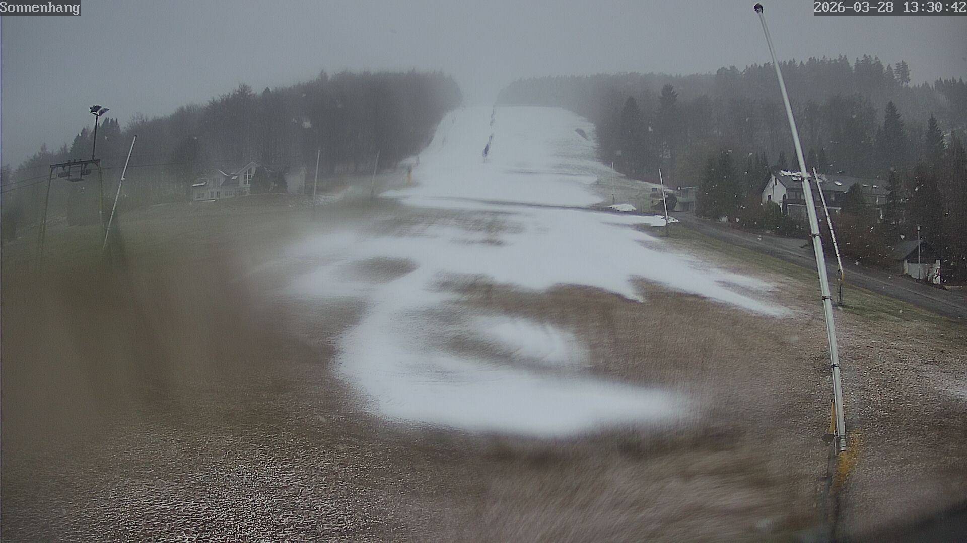 Archiv Foto Webcam Sonnenhang-Willingen