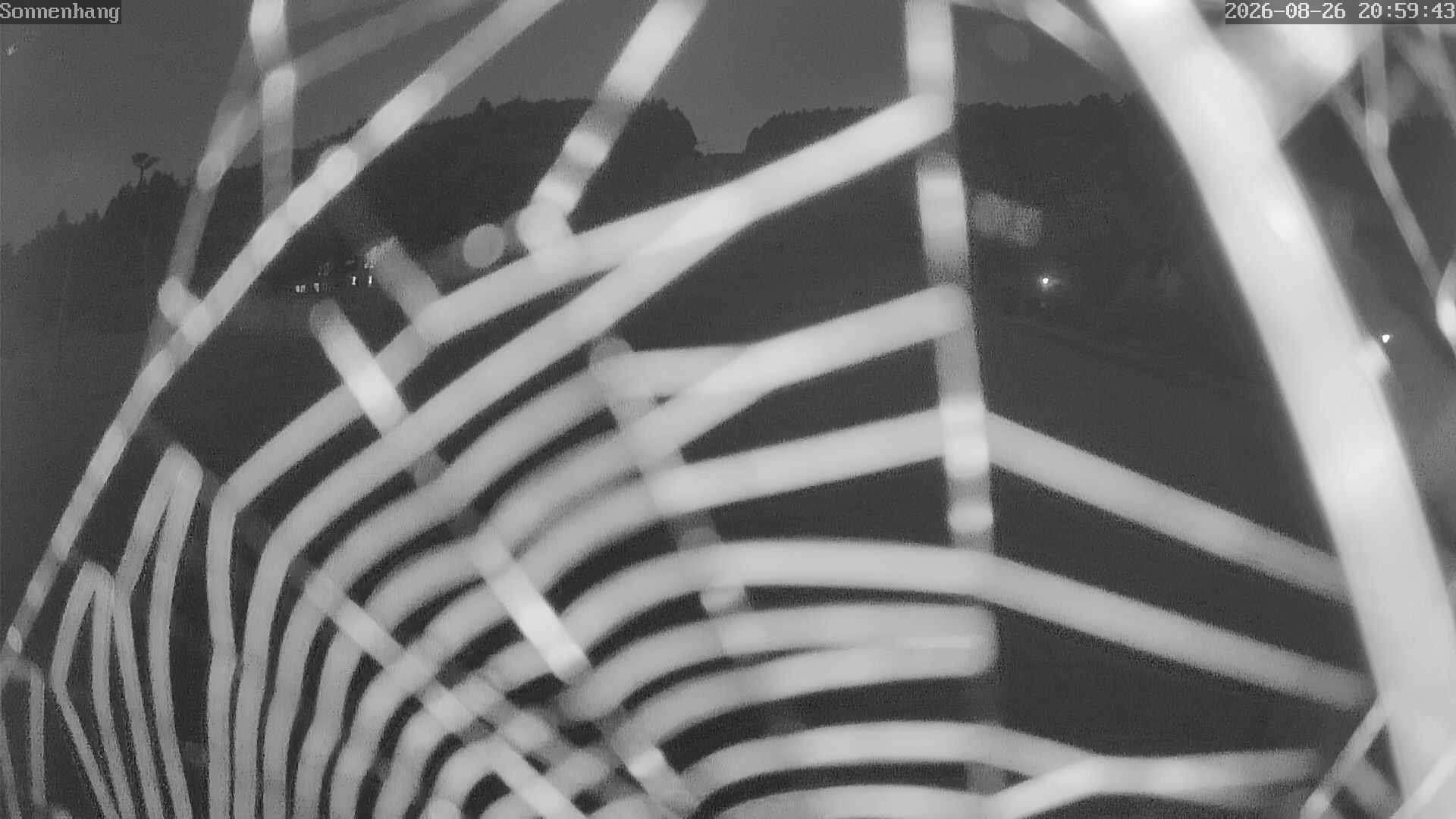 Archiv Foto Webcam Sonnenhang-Willingen