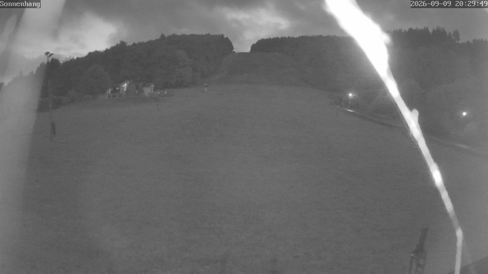 Archiv Foto Webcam Sonnenhang-Willingen