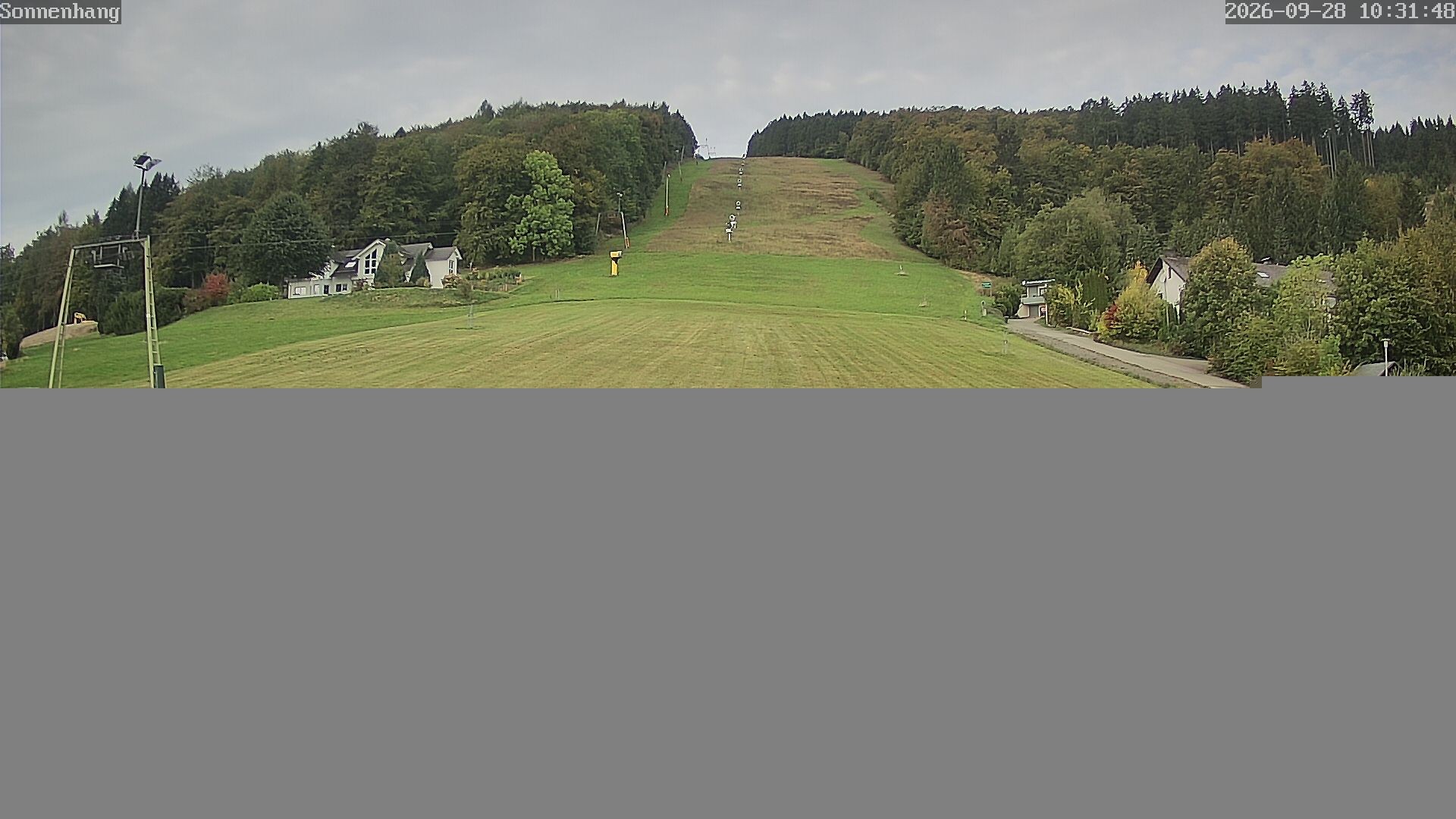 Archiv Foto Webcam Sonnenhang-Willingen