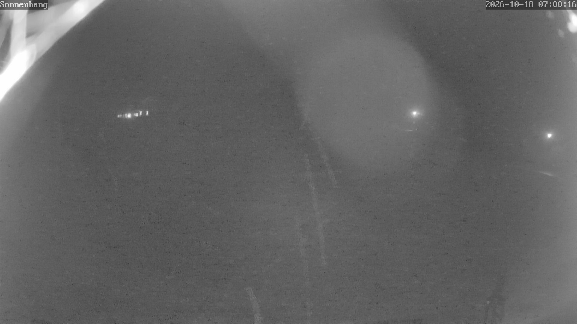 Archiv Foto Webcam Sonnenhang-Willingen