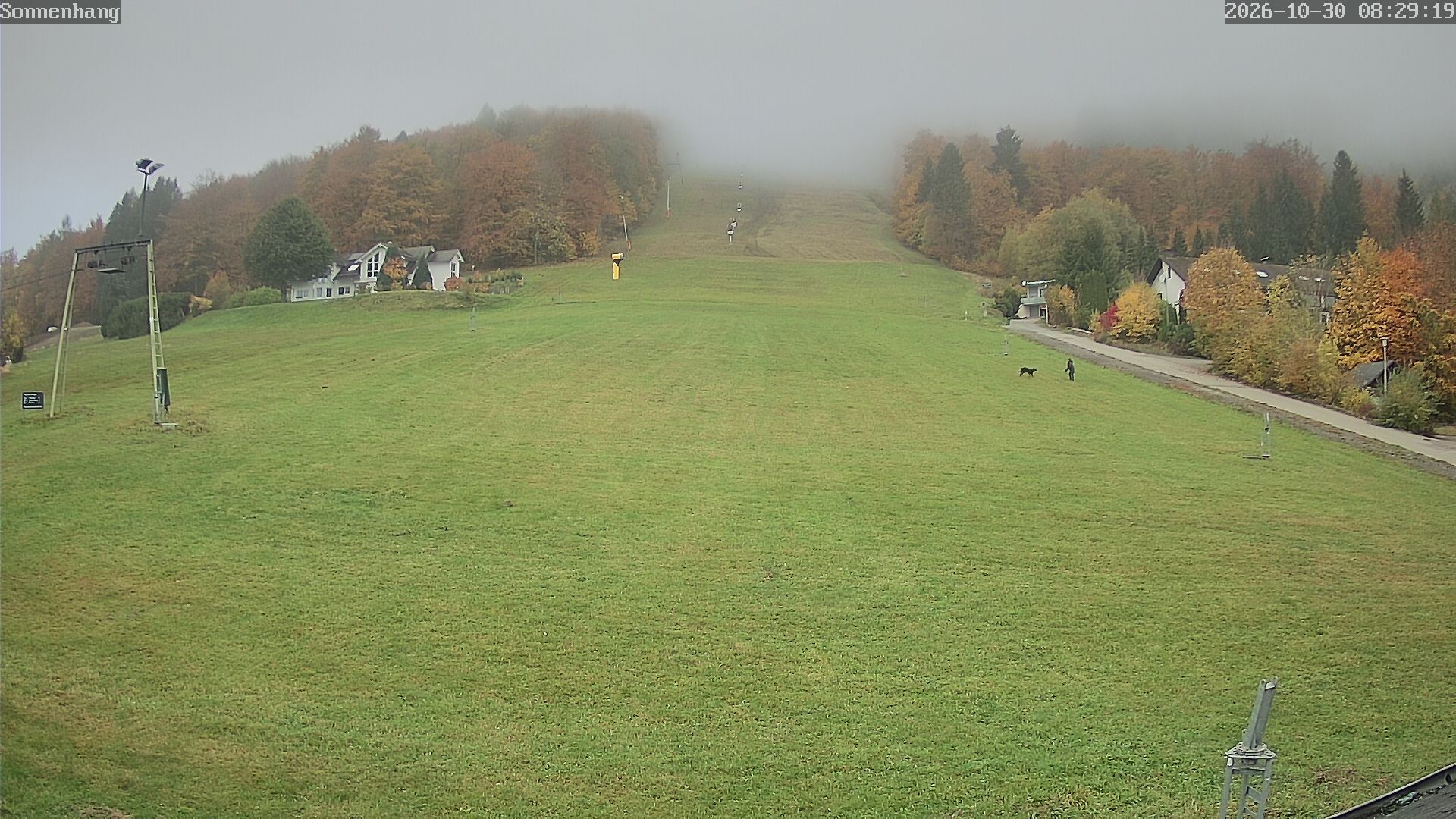Archiv Foto Webcam Sonnenhang-Willingen