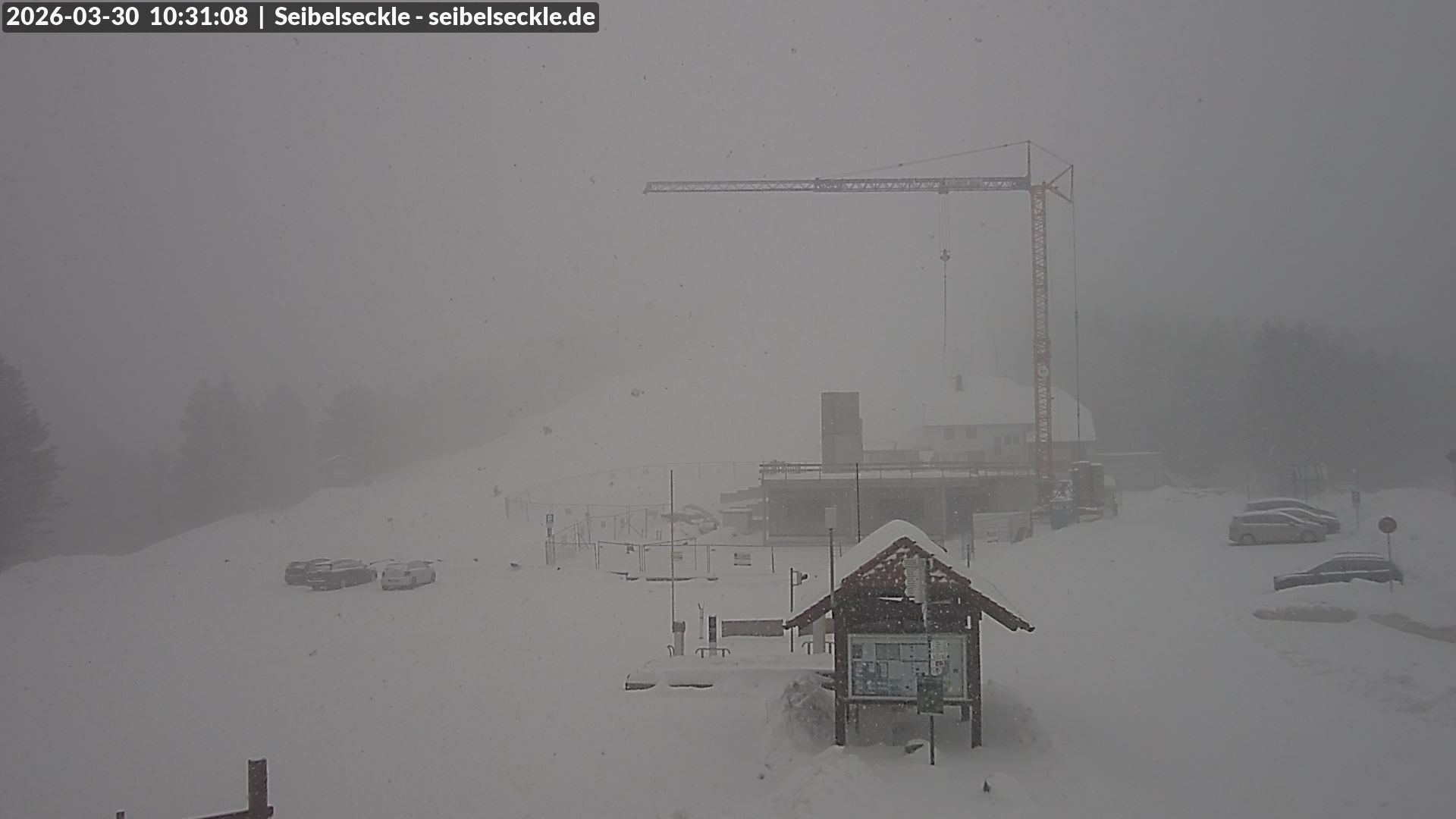 Archiv Foto Webcam Seibelseckle Blick auf die Piste