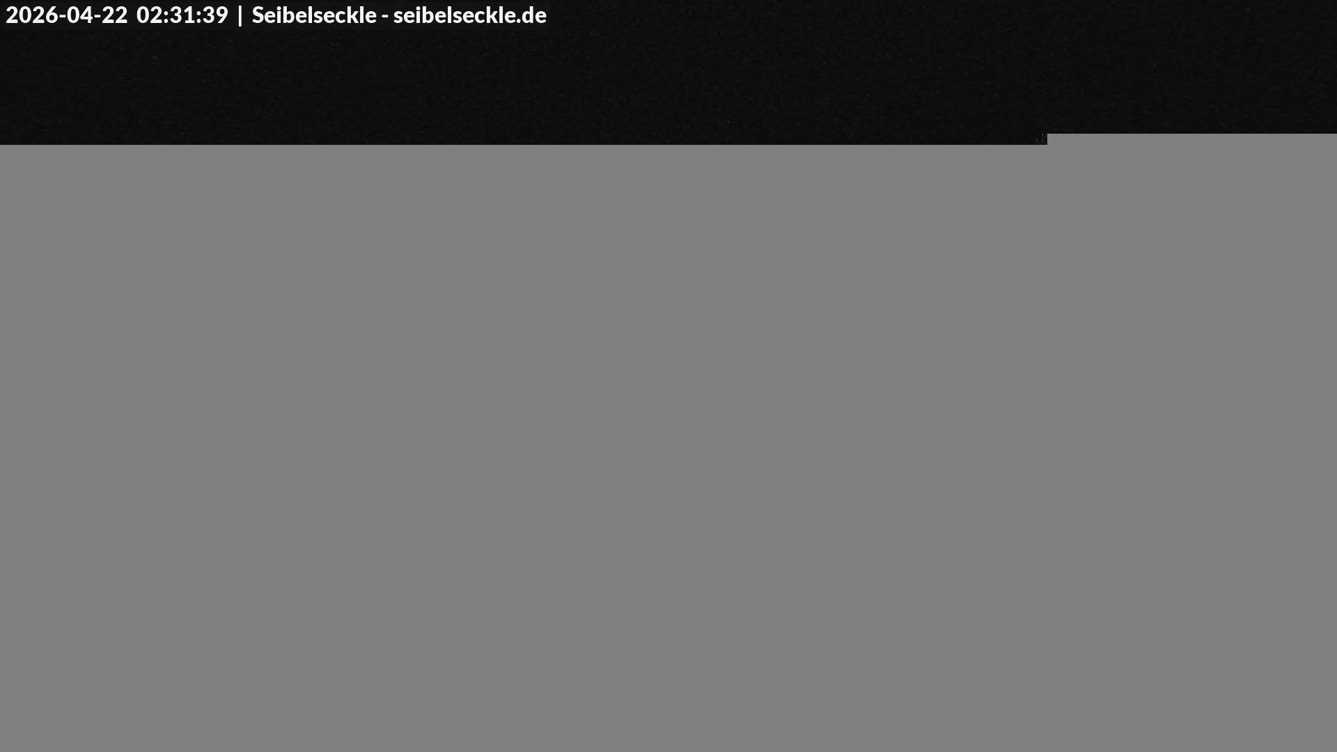 Archiv Foto Webcam Seibelseckle Blick auf die Piste