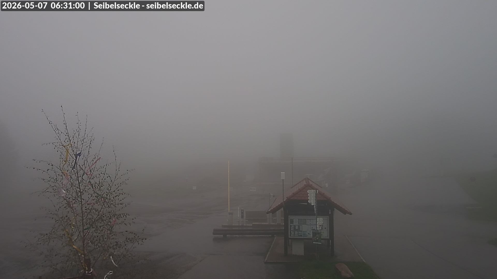 Archived image Webcam Seibelseckle the slope