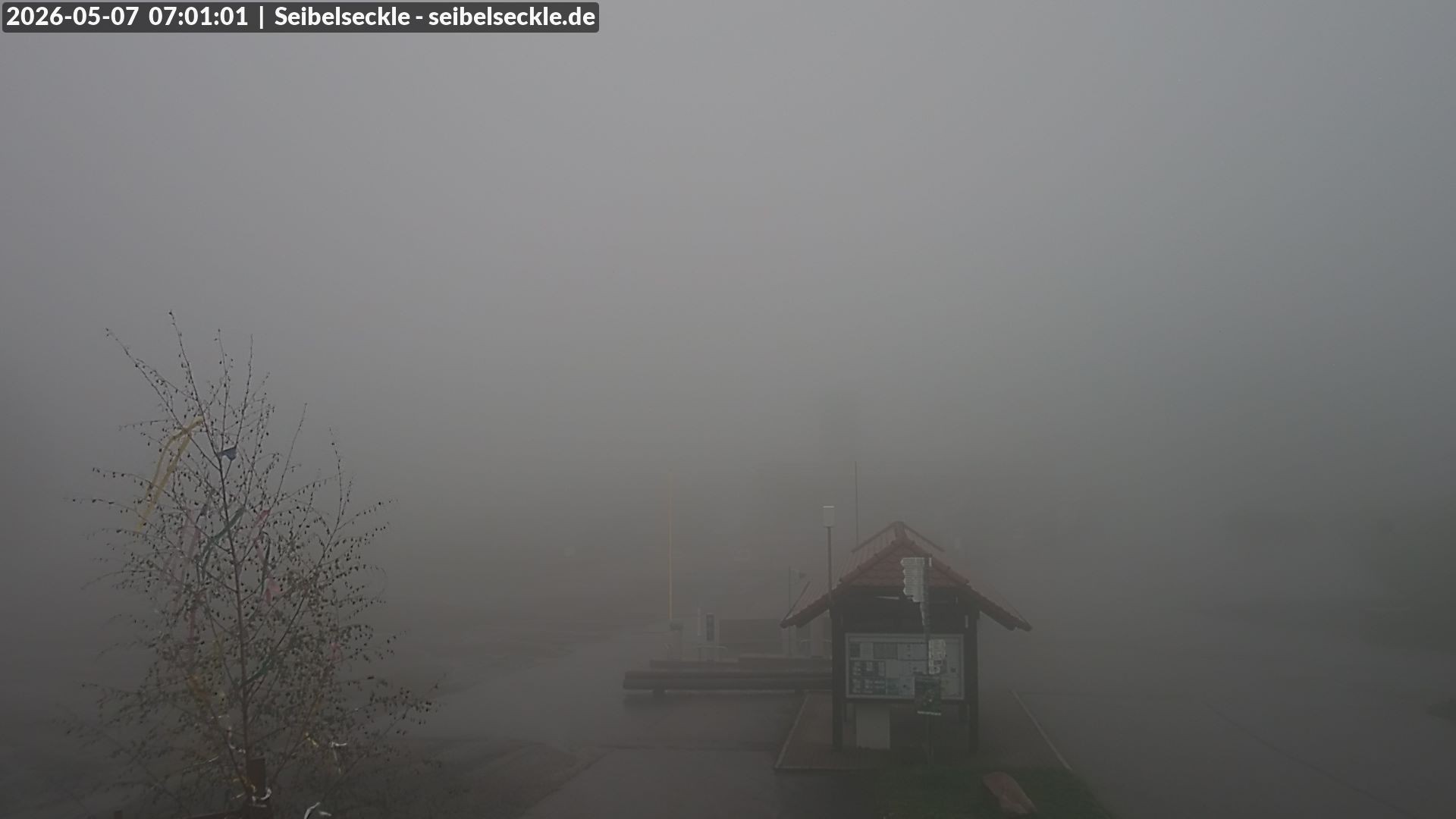 Archived image Webcam Seibelseckle the slope