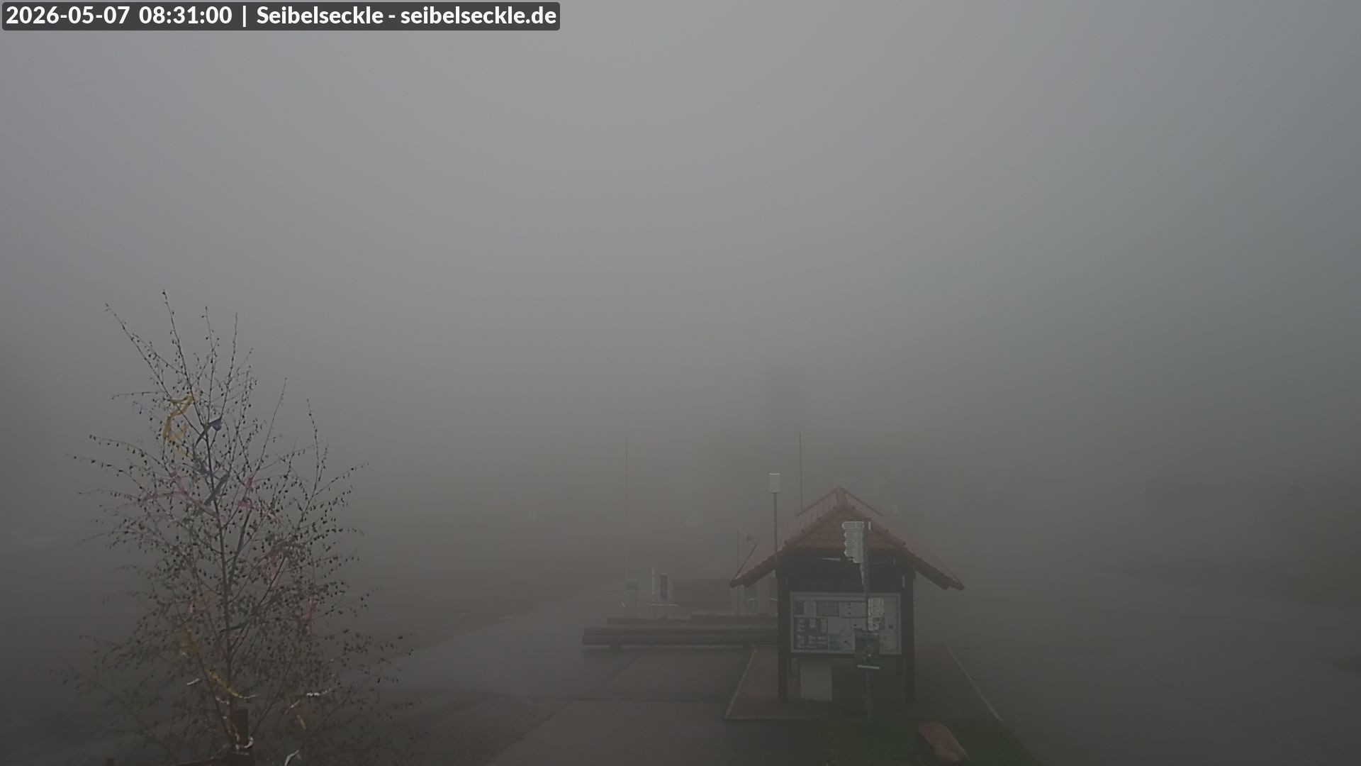 Archived image Webcam Seibelseckle the slope