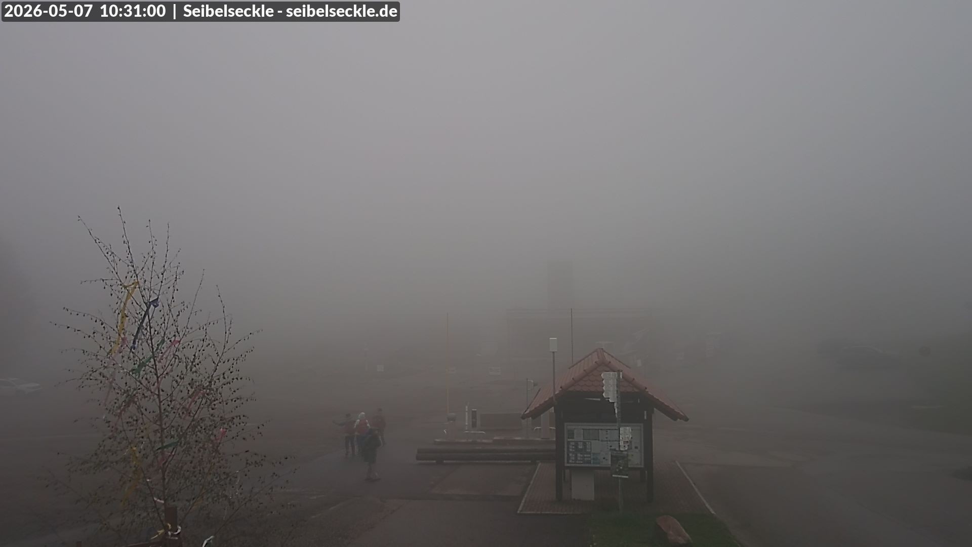 Archived image Webcam Seibelseckle the slope