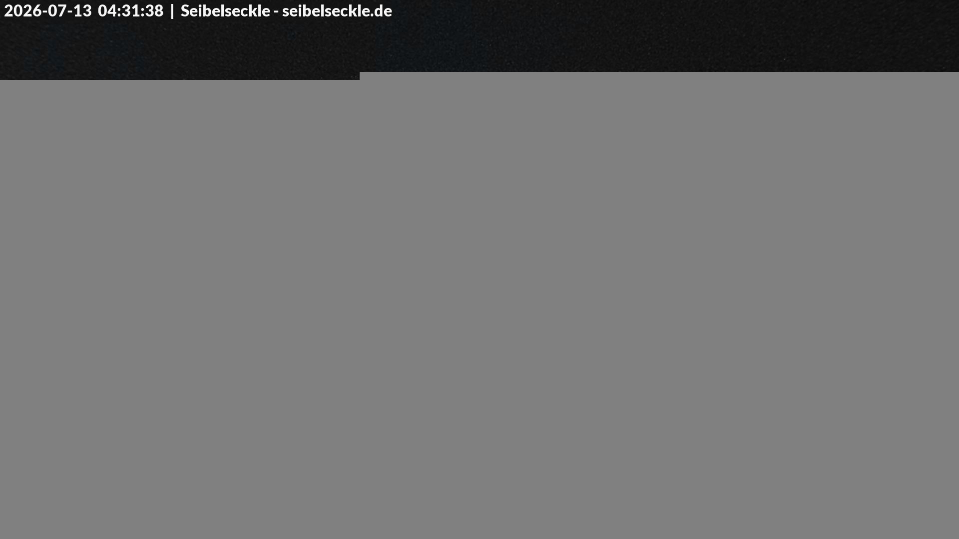 Archiv Foto Webcam Seibelseckle Blick auf die Piste