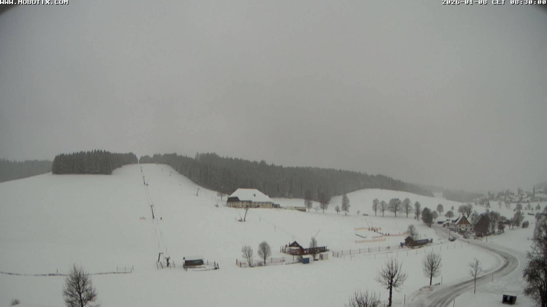 Archiv Foto Webcam Schneeberglift Waldau, Titisee
