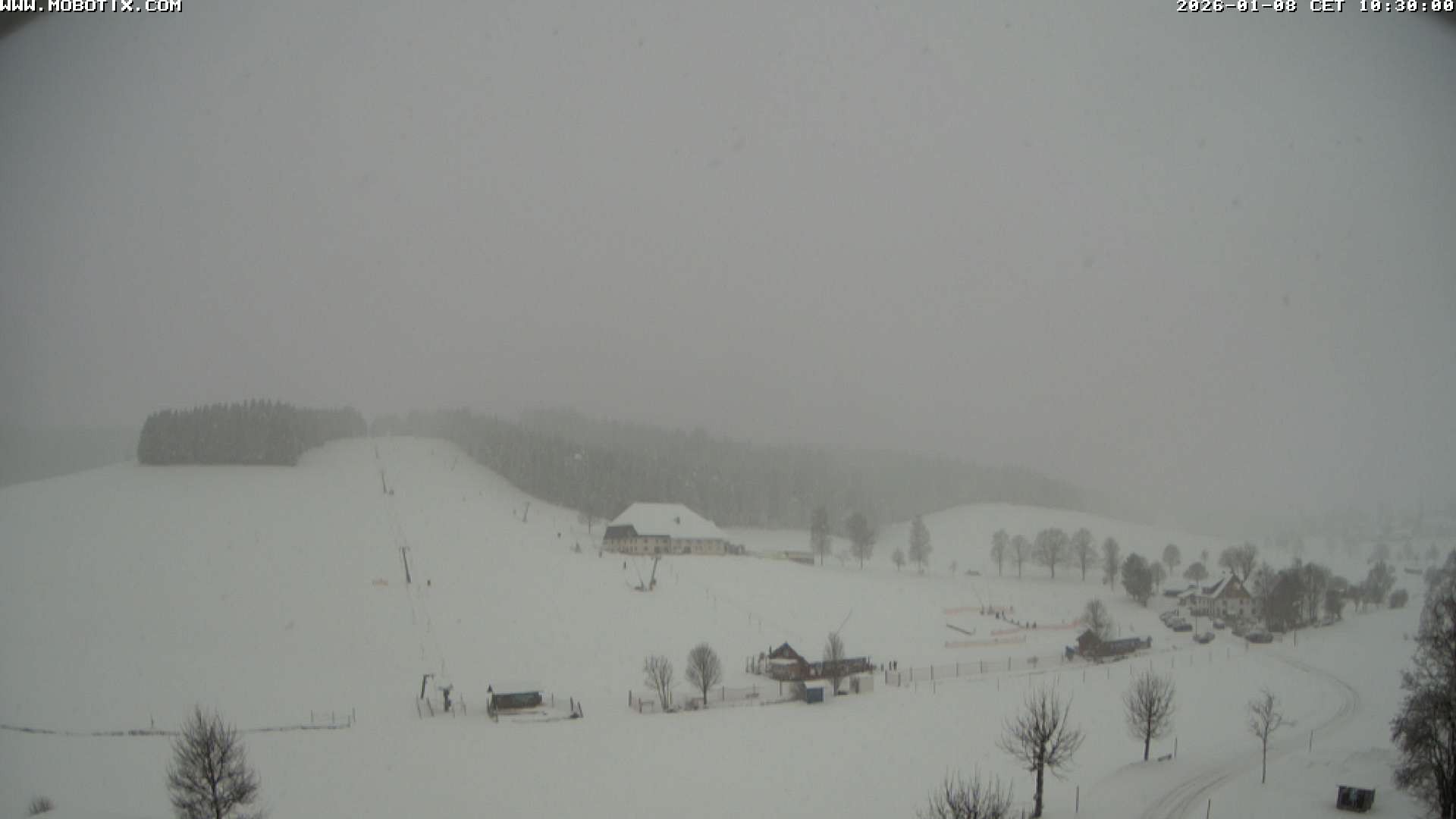 Archiv Foto Webcam Schneeberglift Waldau, Titisee