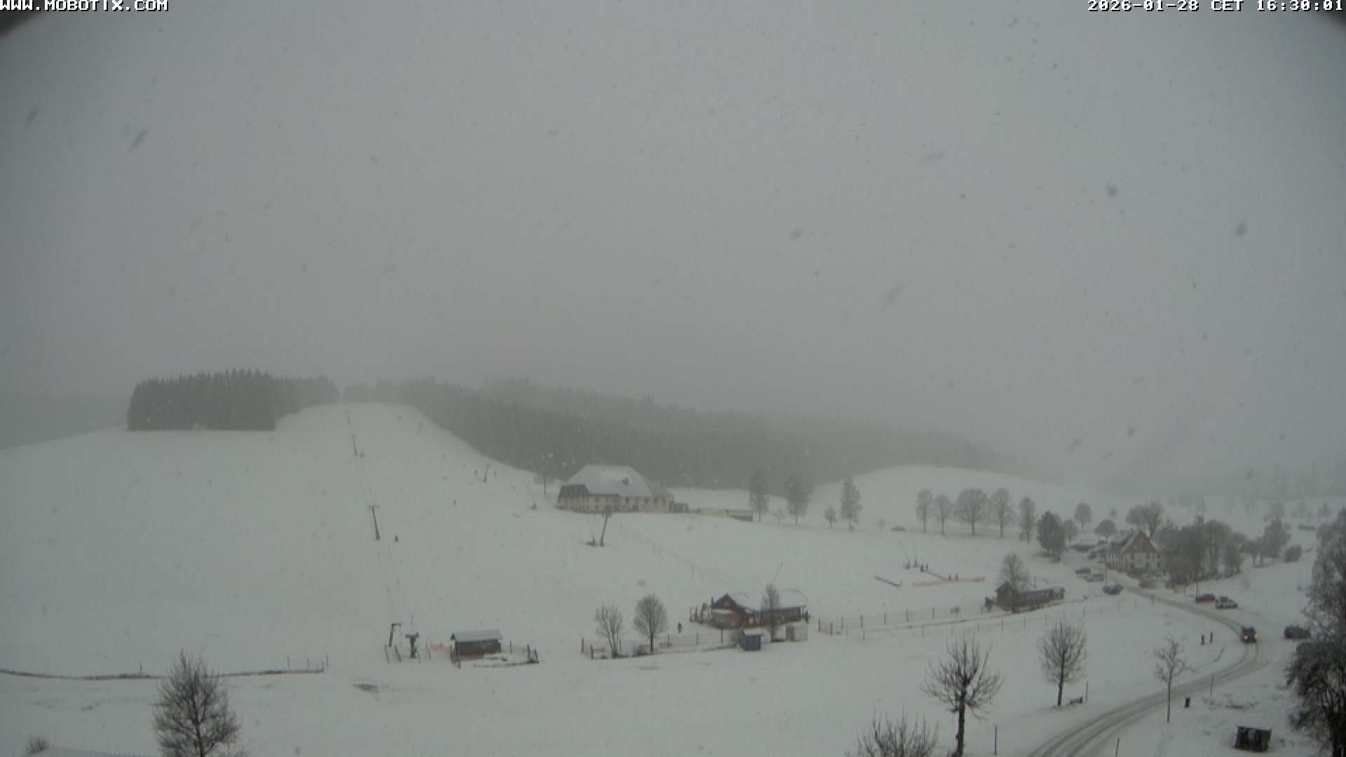 Archived image Webcam Schneeberg ski lift (Titisee)