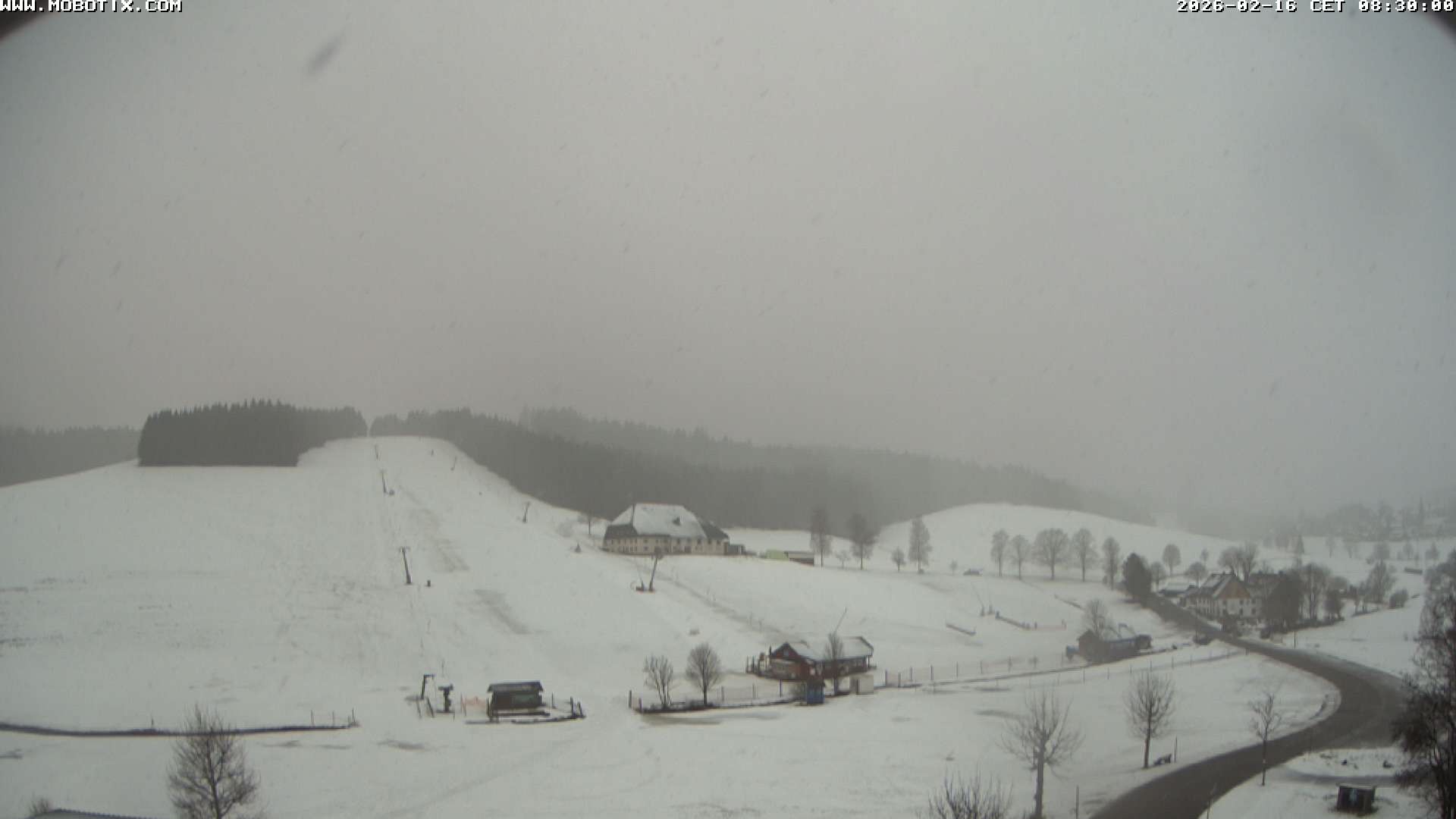 Archiv Foto Webcam Schneeberglift Waldau, Titisee