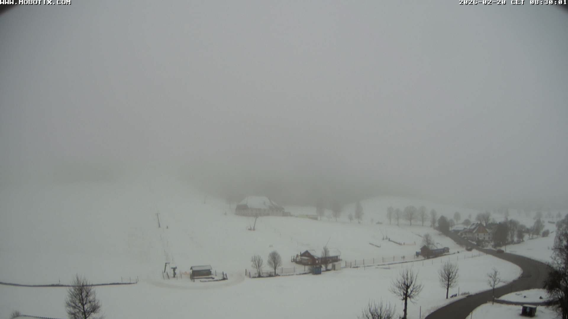 Archiv Foto Webcam Schneeberglift Waldau, Titisee