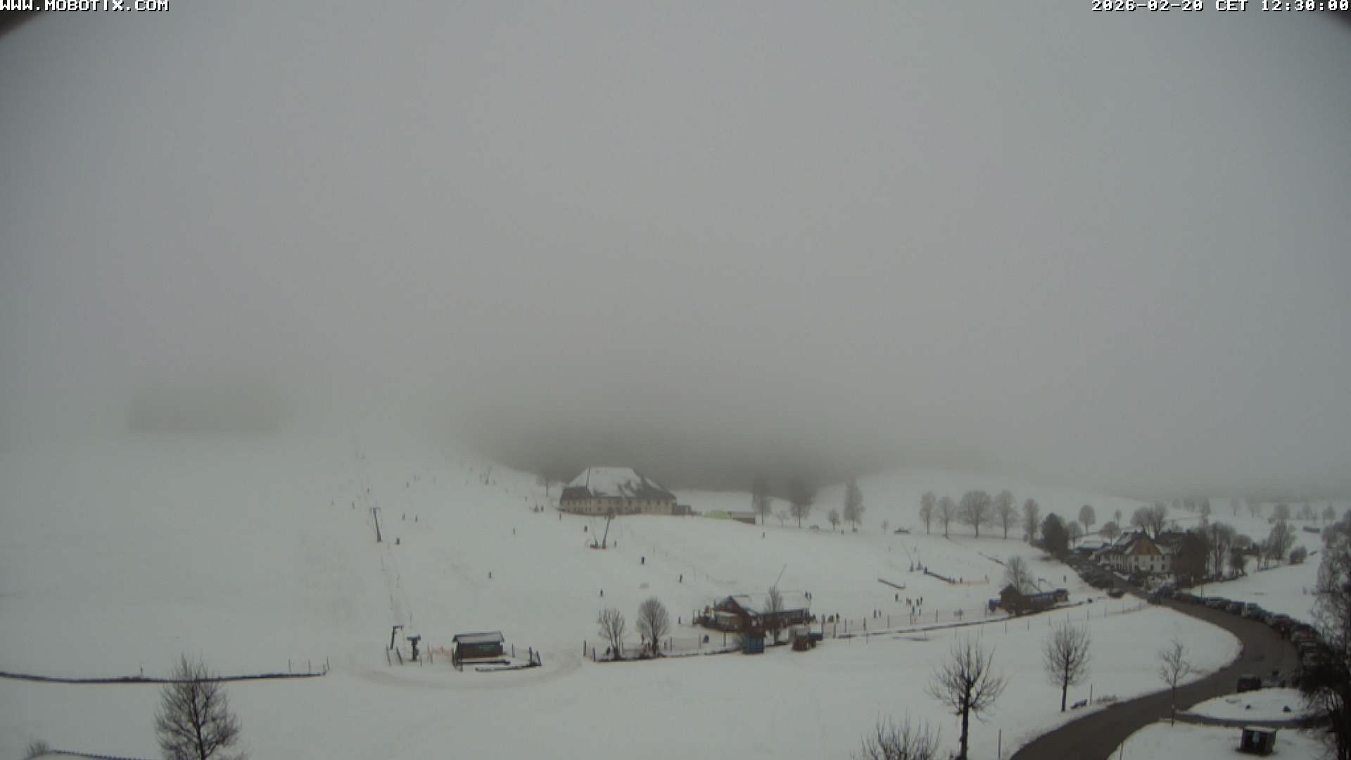 Archiv Foto Webcam Schneeberglift Waldau, Titisee