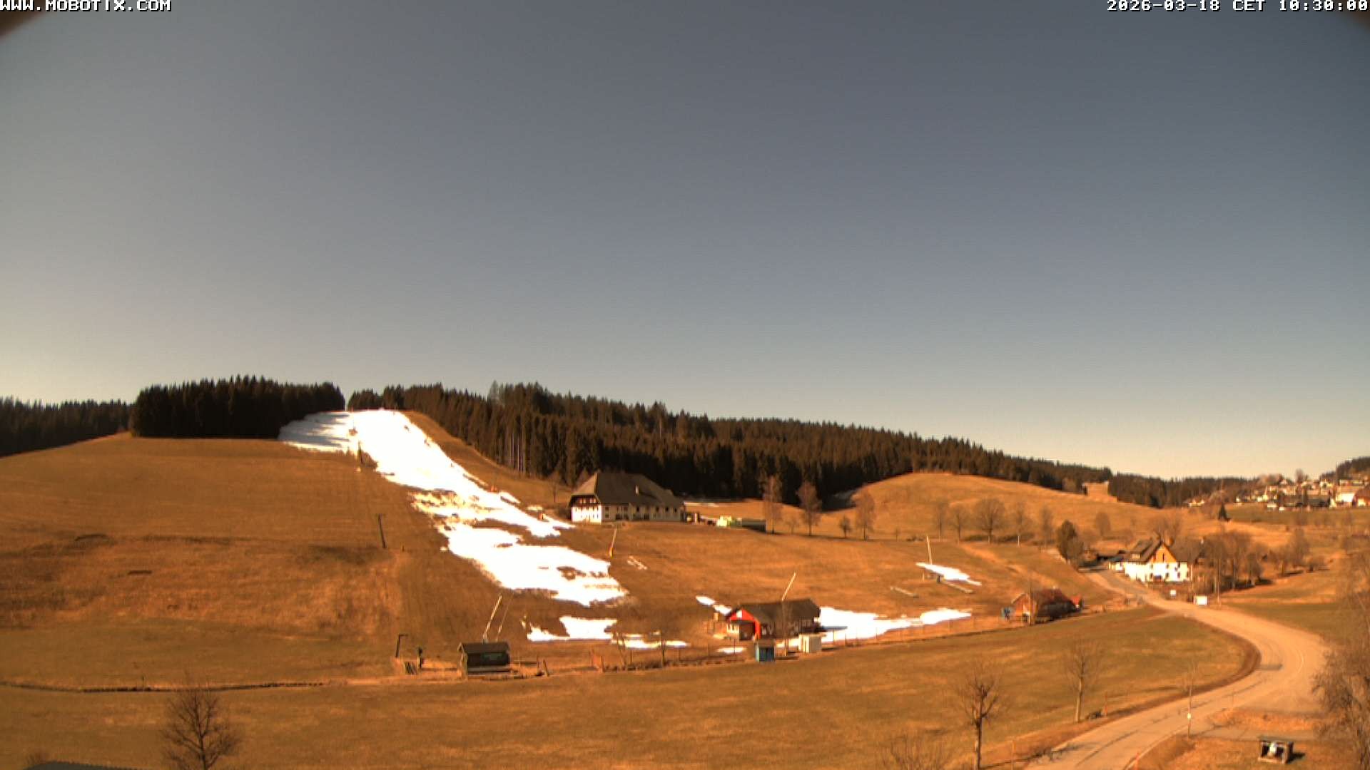 Archiv Foto Webcam Schneeberglift Waldau, Titisee