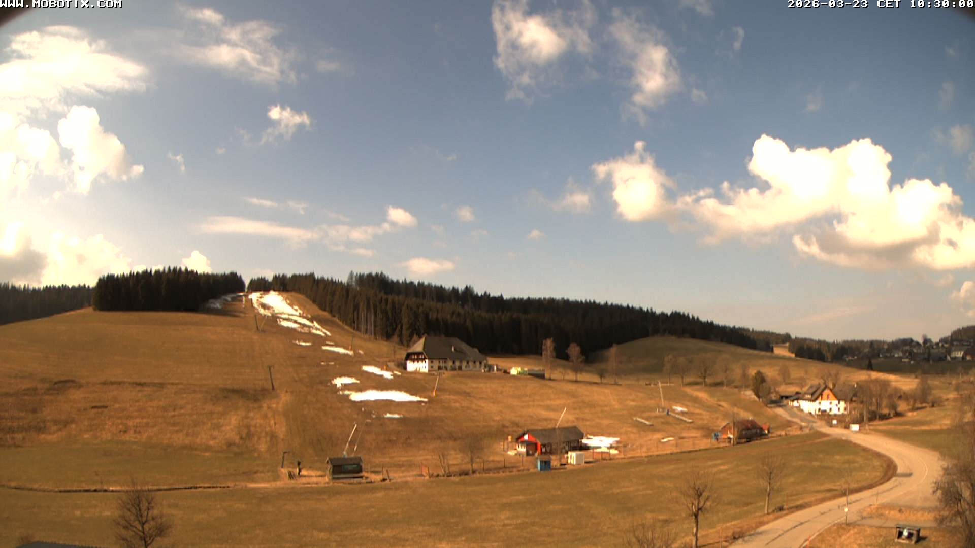Archiv Foto Webcam Schneeberglift Waldau, Titisee