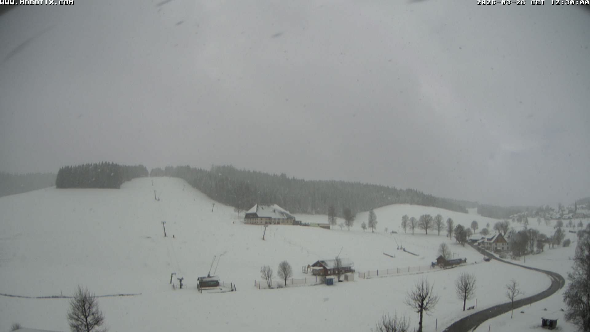 Archived image Webcam Schneeberg ski lift (Titisee)