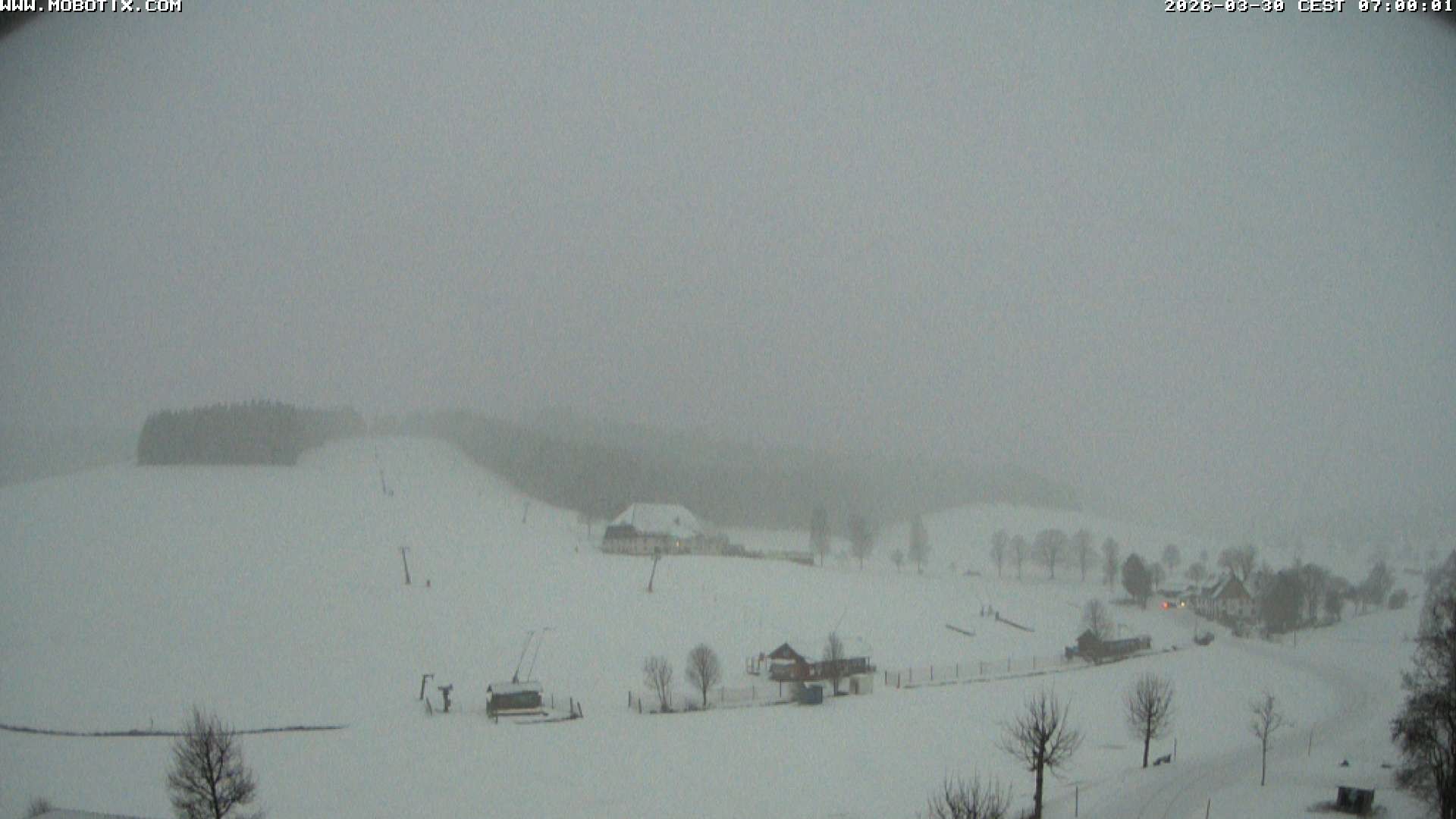Archiv Foto Webcam Schneeberglift Waldau, Titisee