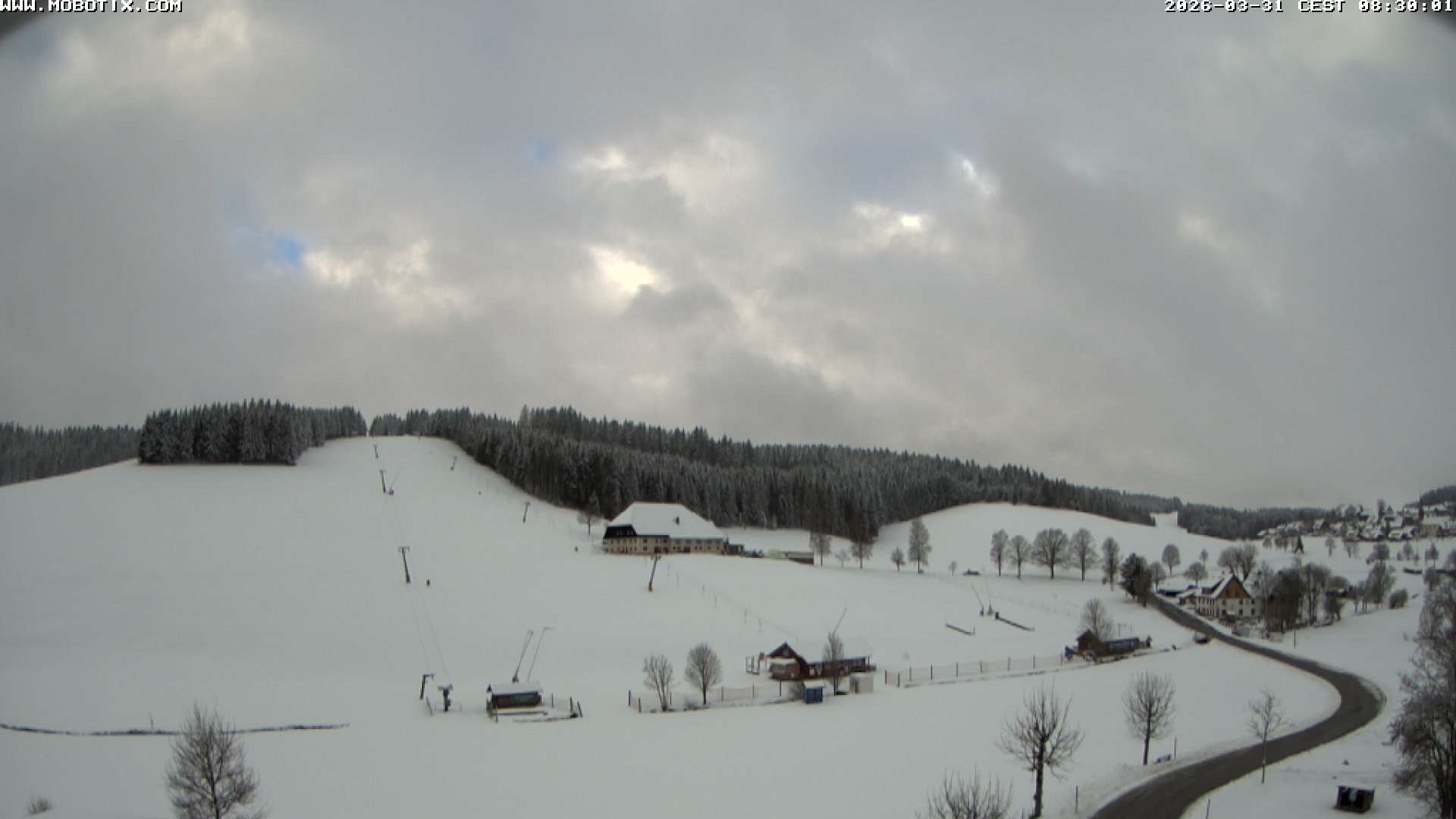 Archived image Webcam Schneeberg ski lift (Titisee)