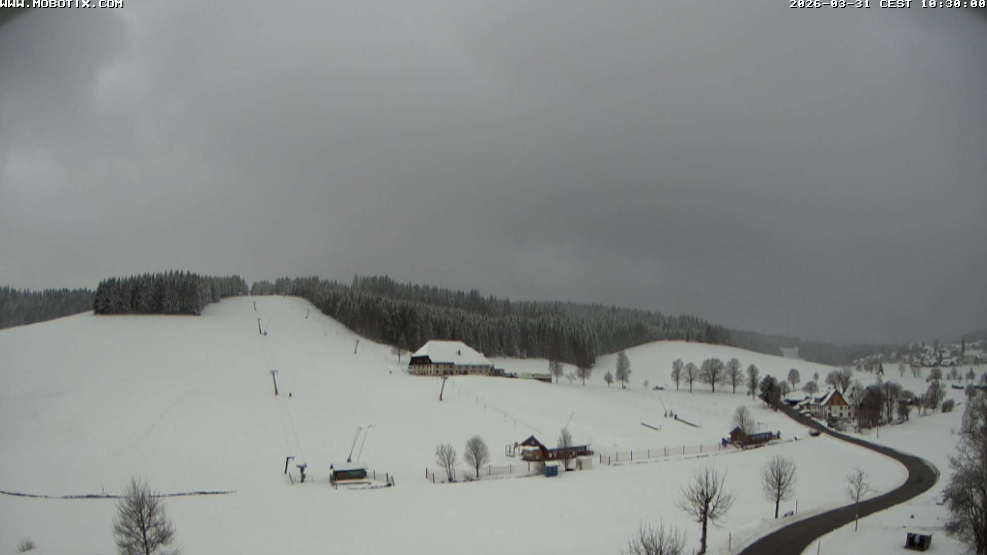 Archived image Webcam Schneeberg ski lift (Titisee)