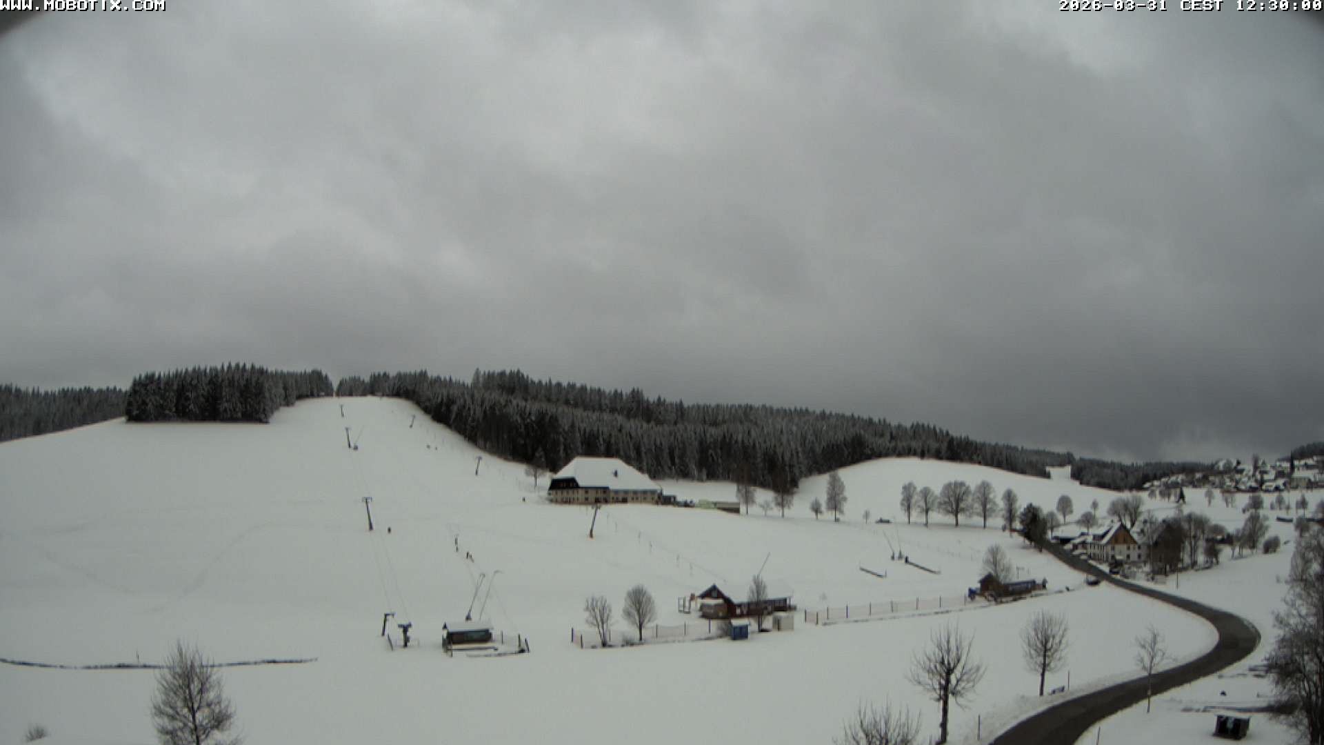 Archived image Webcam Schneeberg ski lift (Titisee)
